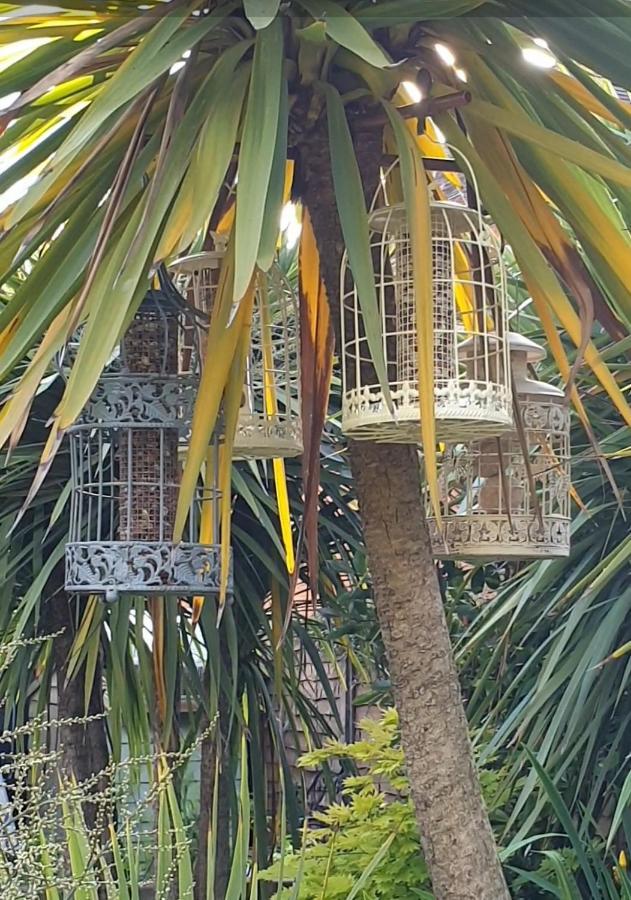 Tropical Garden Oasis Rooms Birmingham Eksteriør bilde