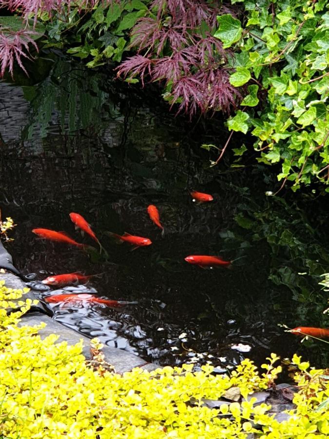 Tropical Garden Oasis Rooms Birmingham Eksteriør bilde
