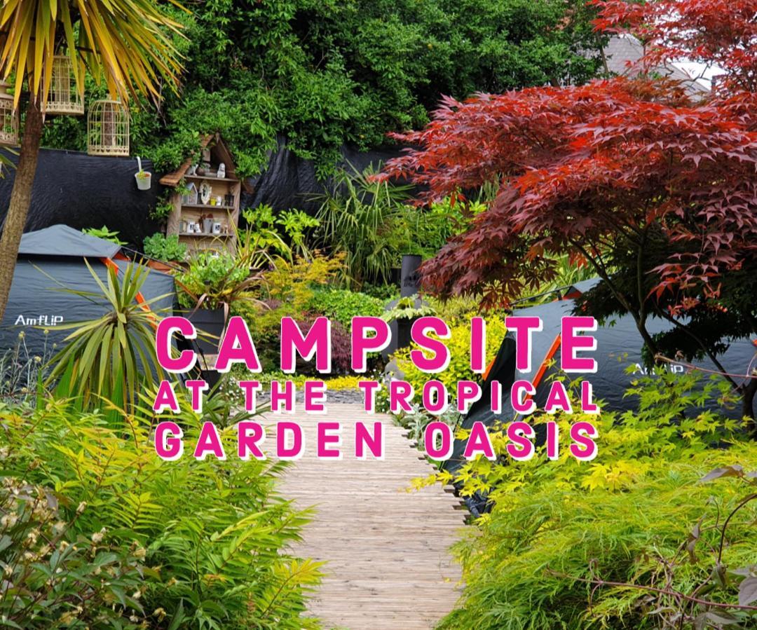 Tropical Garden Oasis Rooms Birmingham Rom bilde